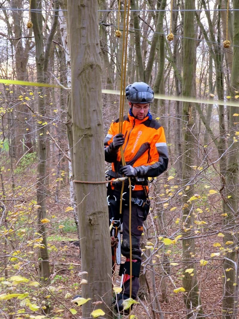 Ivar Kairies mit Kletterausrüstung im Wald