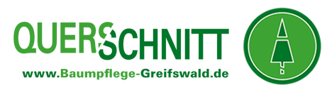 Querschnitt – www.baumpflege-greifswald.de