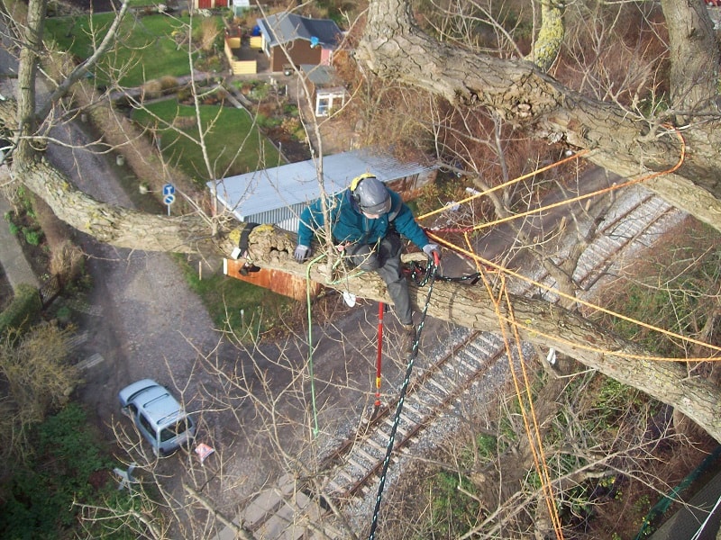 Seilklettertechnik Querschnitt